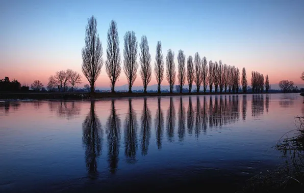 Trees, landscape, nature, reflection, river
