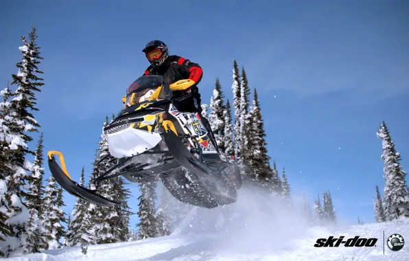 Picture forest, snow, jump, sport, sport, snow, snowmobile, snowmobile