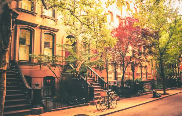 Picture the sun, trees, bike, street, home, New York, United States