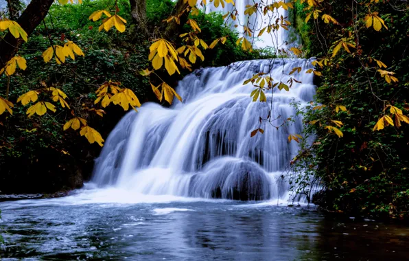 Autumn, leaves, branches, waterfall, stream, cascade, pond, chestnut