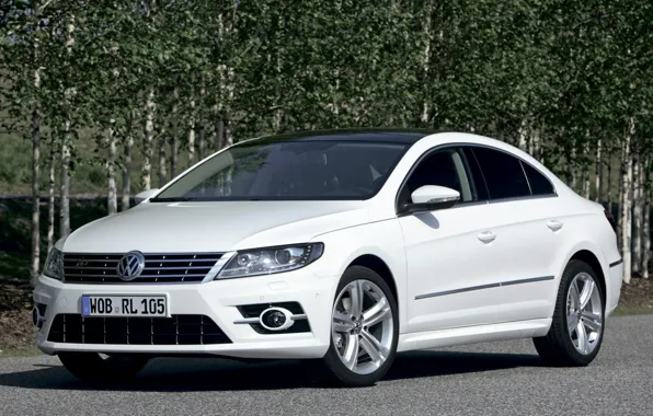 Picture white, trees, background, coupe, volkswagen, the front, Volkswagen, passat
