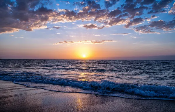 Picture sea, wave, sunset