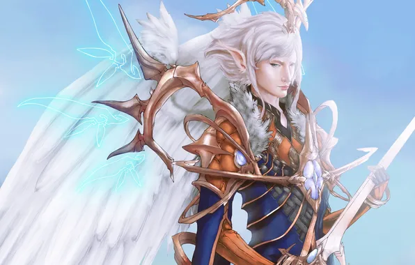 Picture magic, wings, sword, male