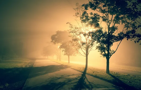 Picture landscape, night, the city, fog