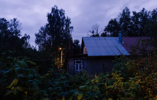 Summer, the sky, trees, clouds, building, home, the evening, Russia