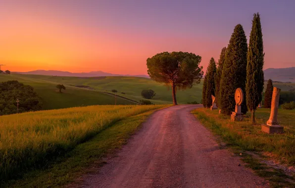 Road, field, the sky, trees, sunset, dawn, hills, dal