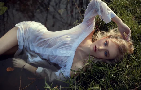 Grass, green grass, shore, foliage, model, beauty, grass, pond