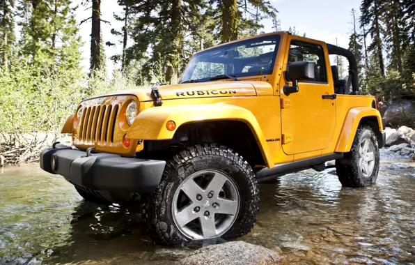 Picture forest, water, trees, stones, SUV, Jeep, the front, Ford