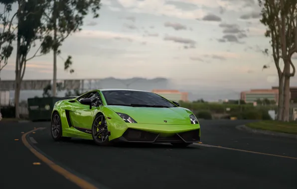 Picture Lamborghini, Superleggera, Gallardo, Green