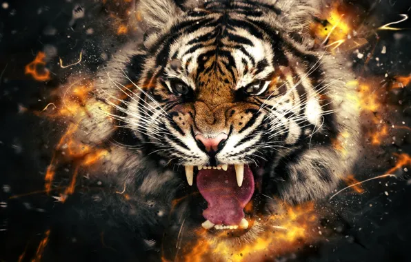 Picture tiger, fire, head