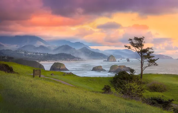 Sea, beach, the sky, grass, clouds, mountains, nature, green