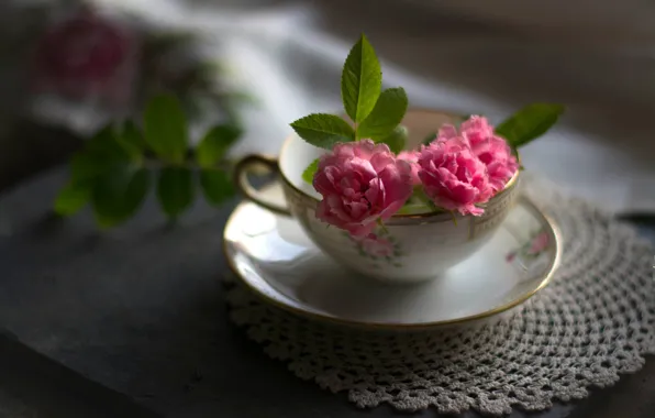 Leaves, light, flowers, the dark background, table, background, roses, blur