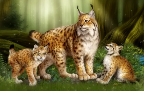 Picture forest, cats, children, family, kittens, lynx, mom