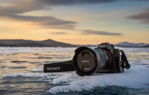 Sony A7RIII, Sony A7M3, Sigma 35mm f1.4, Photography, Bokeh, Love capturing  lens. | Camera wallpaper, Photographer camera, Photography camera