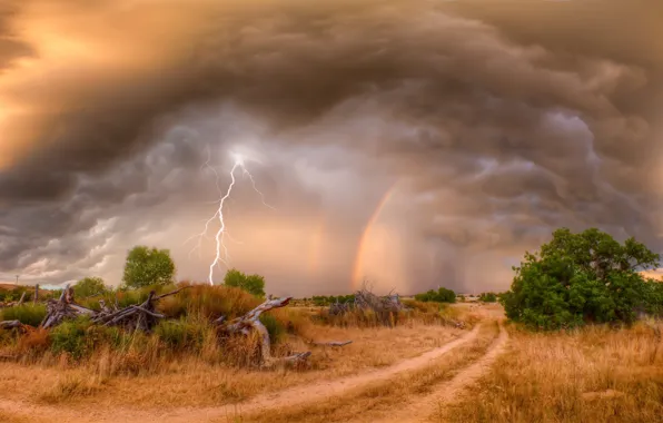 Picture the sky, clouds, element, lightning, driftwood