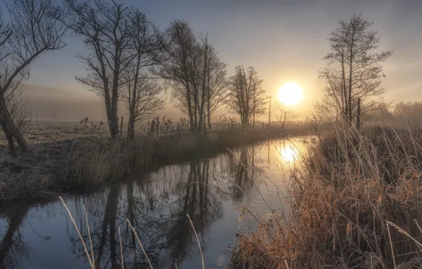 Wallpaper reflection, frost, fog, trees, shore, dawn, pond, the sun