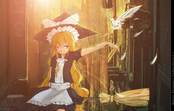 Long hair, witch hat, witch, white dove, on the broom, Touhou Project, Marisa Kirisame, Project …