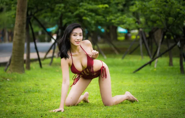 Swimsuit, sexy, pose, brunette, bikini, Asian