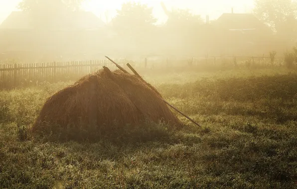 Fog, morning, stack, village, hay