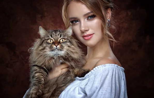 Cat, look, girl, face, background, portrait, fluffy, Vyacheslav Turcan