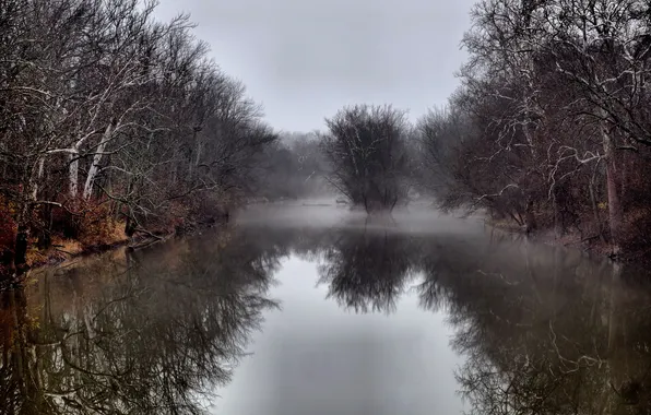 Autumn, fog, river