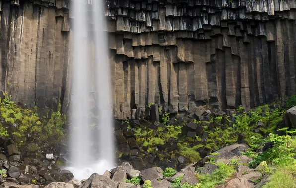 Rock, waterfall, stream, plants