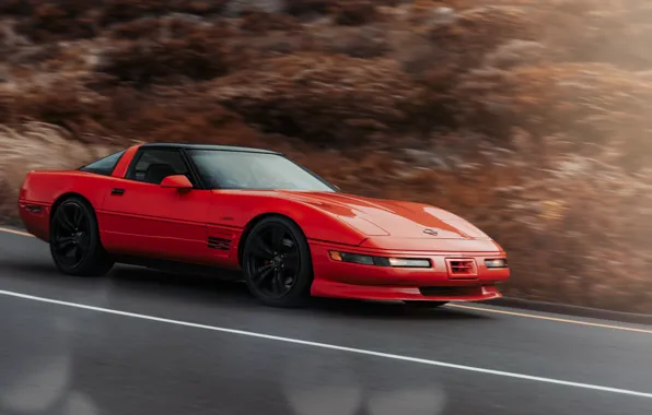 Picture Chevrolet, Car, Corvette 1995