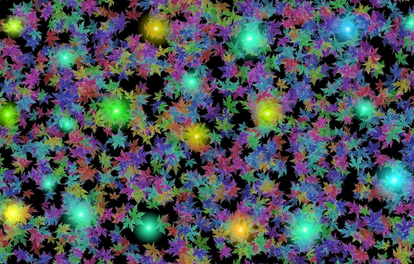 Leaves, light, abstraction, color, maple