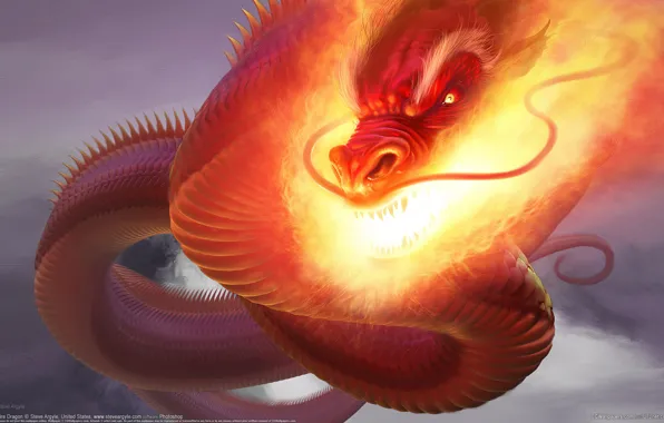 Dragon, Fire, CG Wallpapers, Steve Argyle, Fire Dragon, Snakes