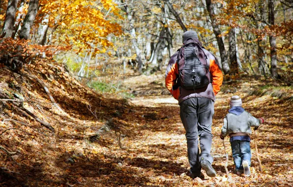 Picture child, adult, Forest, Hiking, father and son