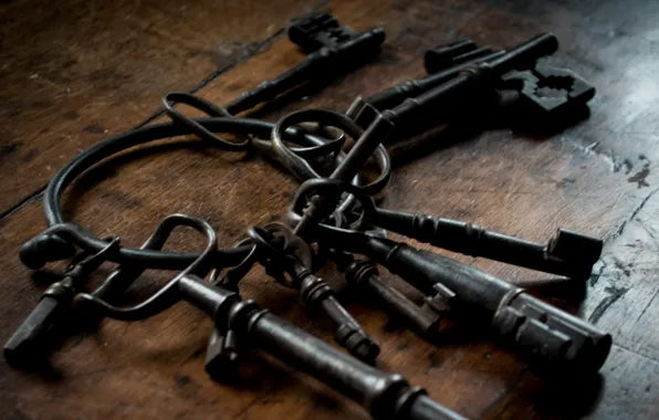 Macro, background, keys