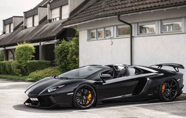 Lamborghini, black, roadster, Aventador