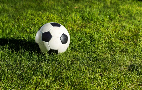 Greens, field, grass, the sun, lawn, football, the ball, bokeh