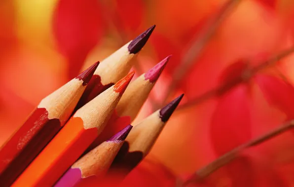 Macro, background, pencils, colored pencils