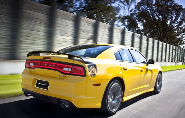 Trees, yellow, the fence, muscle car, Dodge, rear view, dodge, charger