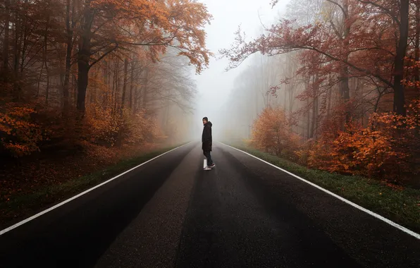 Forest, trees, fog, people, Road, skateboard