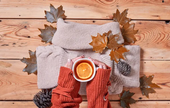 Autumn, leaves, lemon, tea, hands, Cup, sweater