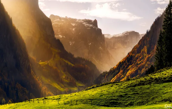 Autumn, forest, mountains, Switzerland, Alps