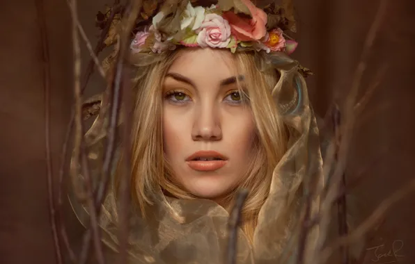 Picture look, branches, face, wreath, Jack Russell, Sarah Kempson