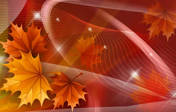 Picture autumn, leaves, stars, line, collage