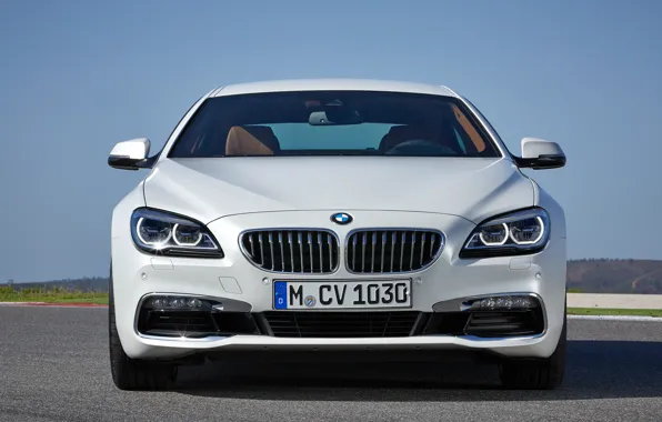 Picture 6-Series, F06, sedan, Gran Coupe, BMW, BMW