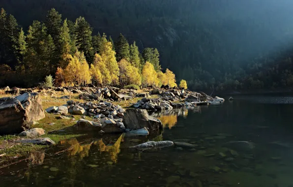 Picture forest, Piedmont, mountains, Italy, lake, Antrona Schieranco, stones