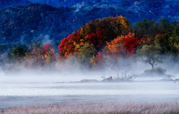Picture lake, dawn, mist, melody, hibara