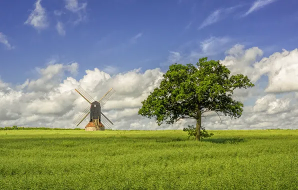 Field, trees, England, windmill, Stevington, Bedfordshire