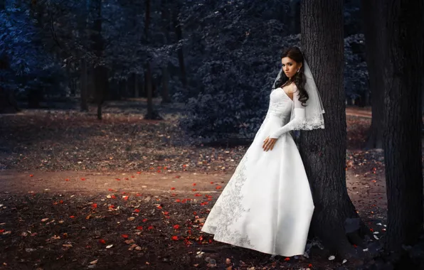 Picture style, Park, dress, the bride, wedding