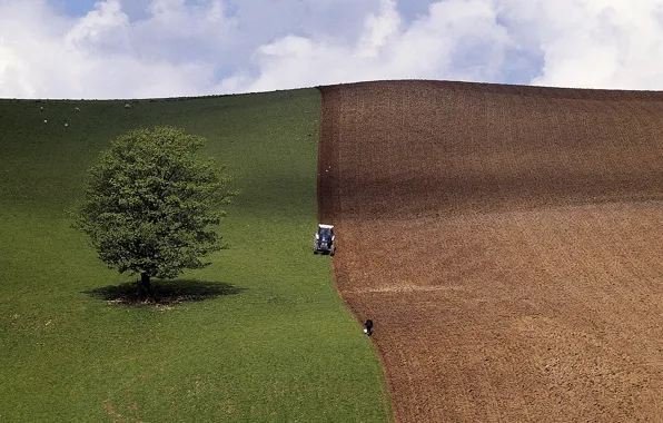 Spring, tractor, agriculture, plowing