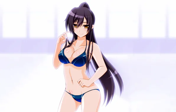 Girl, sexy, cleavage, long hair, boobs, anime, beautiful, pretty