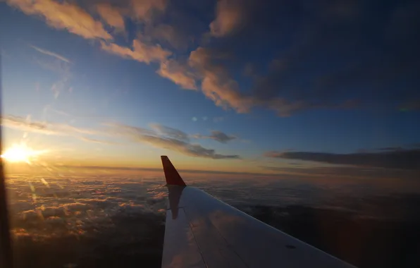 Picture the sky, sunset, wing