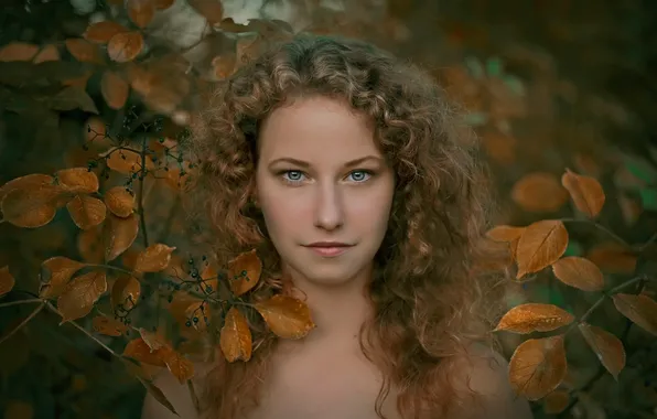 Picture look, leaves, autumn portrait