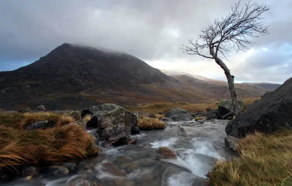 Trees, landscape, mountains, river